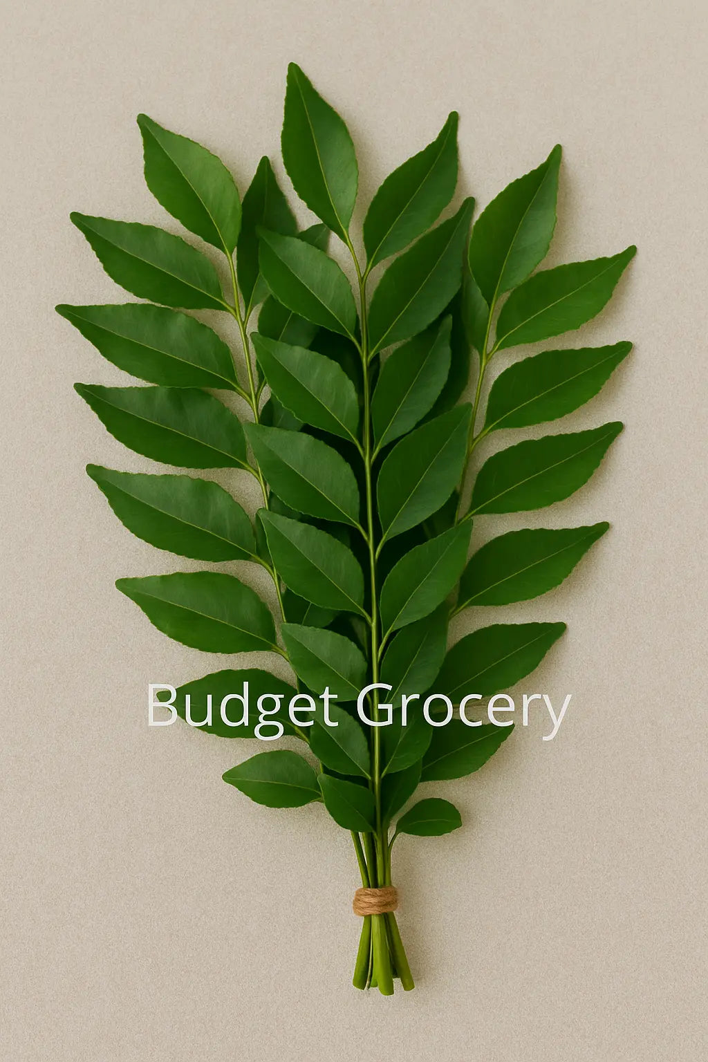 Fresh Curry Leaves Bunch