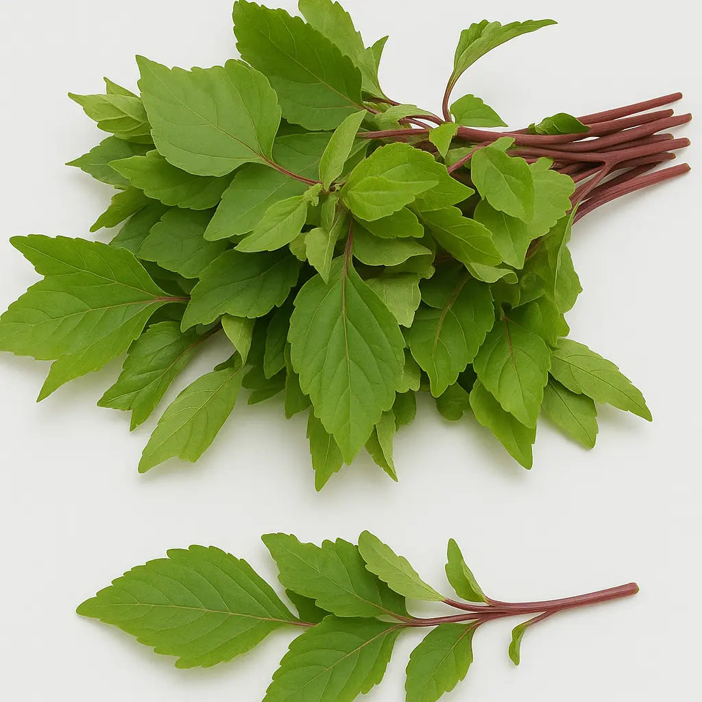Fresh Gongura/Sorrel Leaves Bunch