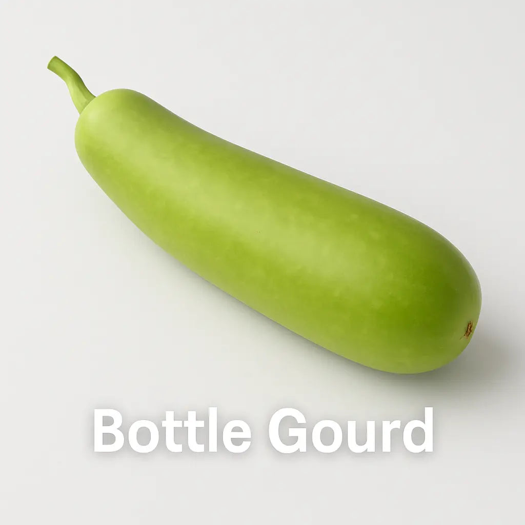 Bottle Guard/ Sorakaya