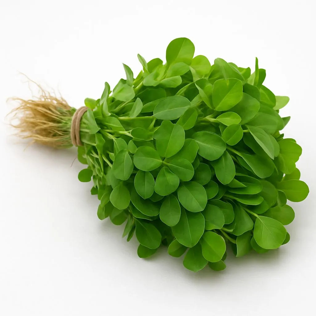 Fresh Methi Leaves Bunch