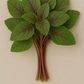 FRESH THOTAKURA /AMARANTH LEAVES BUNCH