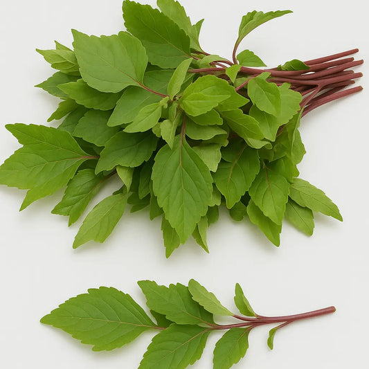 Fresh Gongura/Sorrel  Leaves Bunch