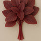 Fresh Thotakura /Amaranth Leaves Bunch